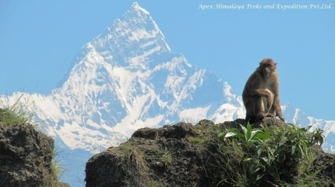 Annapurna Sanctuary 13 Days Trek