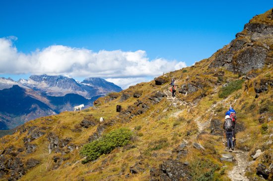 Bhutan Cultural Tour with Drukpath Trek 9 Nights 10 Days