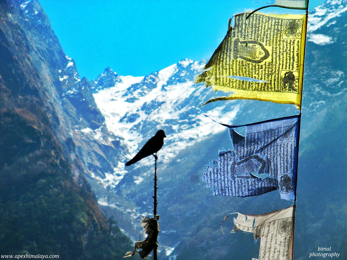 Langtang Loop 12 Days Trek